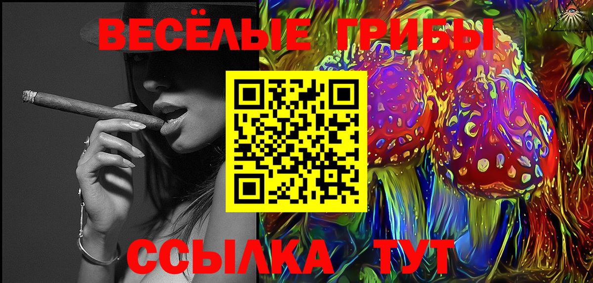 Псилоцибиновые грибы мицелий  Псилоцибиновые грибы GOLDEN TEACHER  Вход с VPN  Анапа 
